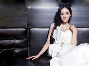 吃瓜八卦娱乐圈杨幂是谁